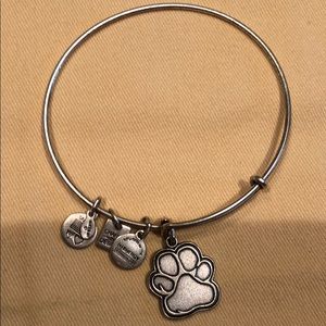 Alex and Ani bracelet